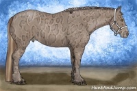 Horse Color:Liver Chestnut Ice Pearl  and Black Ice Pearl 