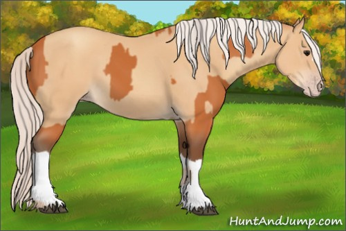 Horse Color:Silver Bay and Silver Amber Champagne