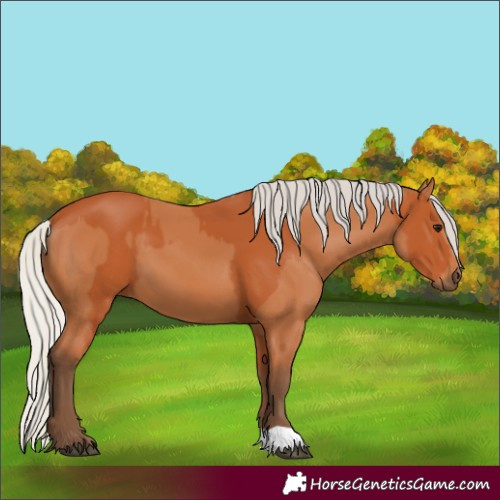 Horse Color:Silver Bay  and Silver Bay 