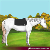 Horse Color:Chestnut Frame Blanket