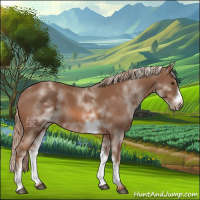 Horse Color:White Spotted Chestnut Frame