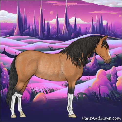 Horse Color:Bay Rabicano