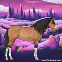 Horse Color:Bay Rabicano 