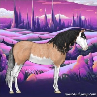 Horse Color:Bay Roan Splash 