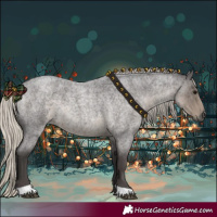 Horse Color:Silver Smoky Blue Roan 