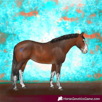 Horse Color:Bay Splash Rabicano  and Bay Splash Rabicano 
