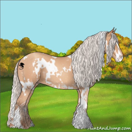 Horse Color:White Spotted Silver Amber Champagne Sabino