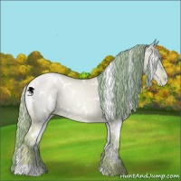 Horse Color:Watercolor White Spotted Gold Champagne Pearl Dun 