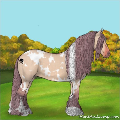 Horse Color:Watercolor White Spotted Liver Red Dun