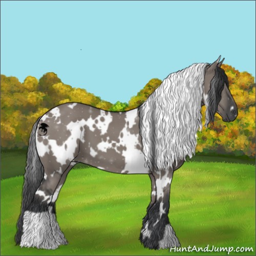 Horse Color:White Spotted Grullo 
