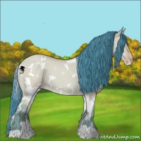 Horse Color:Watercolor White Spotted Sable Champagne Dun 