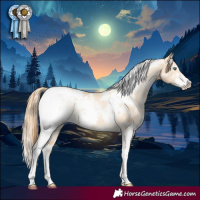 Horse Color:White Spotted Smoky Grullo Pearl Sabino