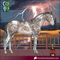 Horse Color:Brown Dun Mushroom Splash Tobiano Appaloosa 