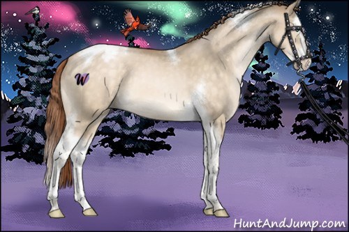 Horse Color:Buckskin Pearl Dun Splash Tobiano Snowcap 
