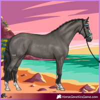 Horse Color:Grullo Rabicano 