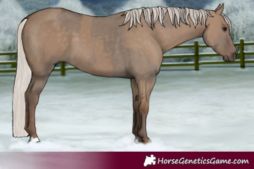 Horse Color:Silver Grullo  and Silver Grullo 