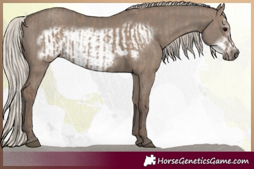 Horse Color:Silver Grullo  and Silver Grullo Frame 