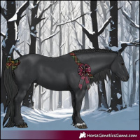 Horse Color:Black 