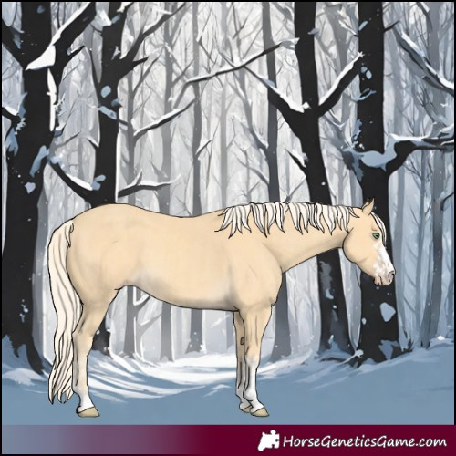 Horse Color:Gold Cream Champagne  and Gold Cream Champagne 
