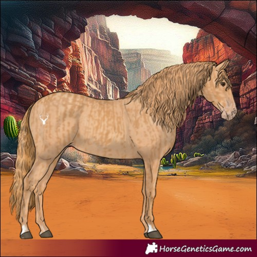 Horse Color:Chestnut  and Gold Champagne 