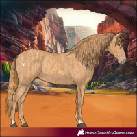 Horse Color:Chestnut  and Gold Champagne 