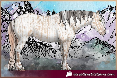 Horse Color:Amber Champagne Dun  and Amber Champagne Dun Appaloosa 