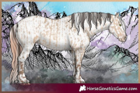 Horse Color:Amber Champagne Dun  and Amber Champagne Dun Blanket 