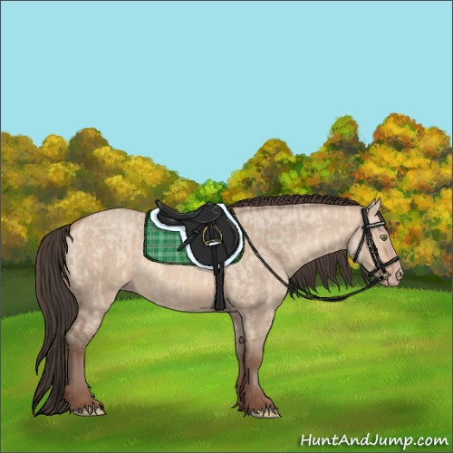 Horse Color:Amber Champagne Dun  and Amber Champagne Dun 