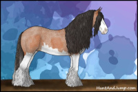 Horse Color:Bay Roan Splash  and Bay Roan Splash 