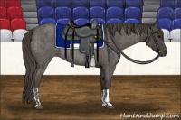 Horse Color:Smoky Blue Roan  and Smoky Blue Roan Rabicano 