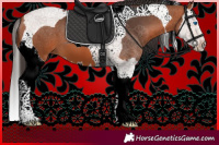 Horse Color:Bay Splash Tobiano 