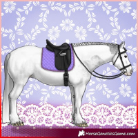 Horse Color:White Spotted Black Splash Tobiano