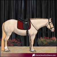 Horse Color:Gold Champagne Roan 