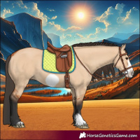 Horse Color:Bay Dun Frame 