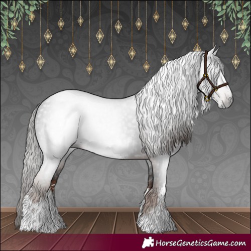 Horse Color:Gray White Spotted Liver Chestnut 