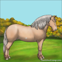 Horse Color:Silver Amber Champagne Pearl Frame 