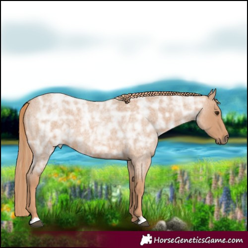 Horse Color:Red Ice Roan 