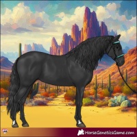 Horse Color:Black 
