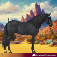 Horse Color:Black 