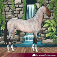 Horse Color:Brown Roan Rabicano 