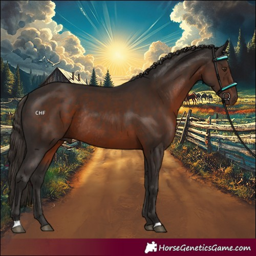Horse Color:Liver Chestnut Rabicano 
