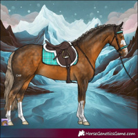 Horse Color:Chocolate Palomino 