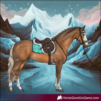Horse Color:Chocolate Palomino 