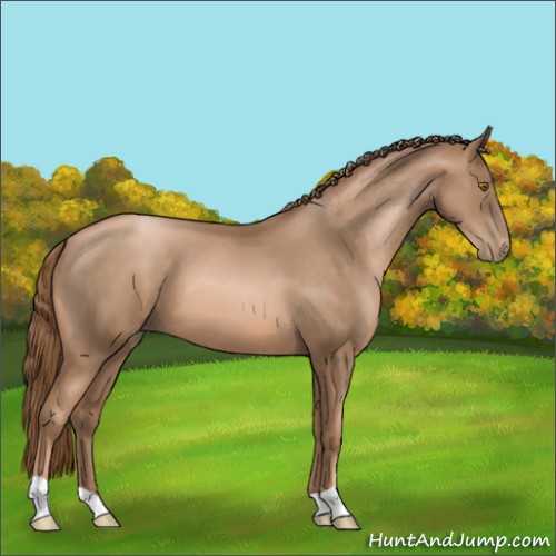 Horse Color:Liver Chestnut Pearl 