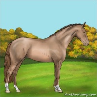 Horse Color:Liver Chestnut Pearl 