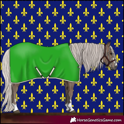 Horse Color:Silver Black 