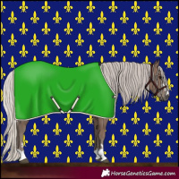 Horse Color:Silver Black 