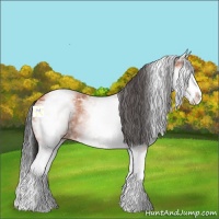 Horse Color:White Spotted Bay Ice Splash 