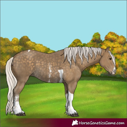 Horse Color:Silver Smoky Black Sabino Tobiano 