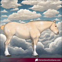 Horse Color:Red Dun Tobiano